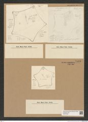 Diatomeae indet. Zeichnungen Sammlung Grunow Nr. 7599 (NHMW-BOT-W0376763)